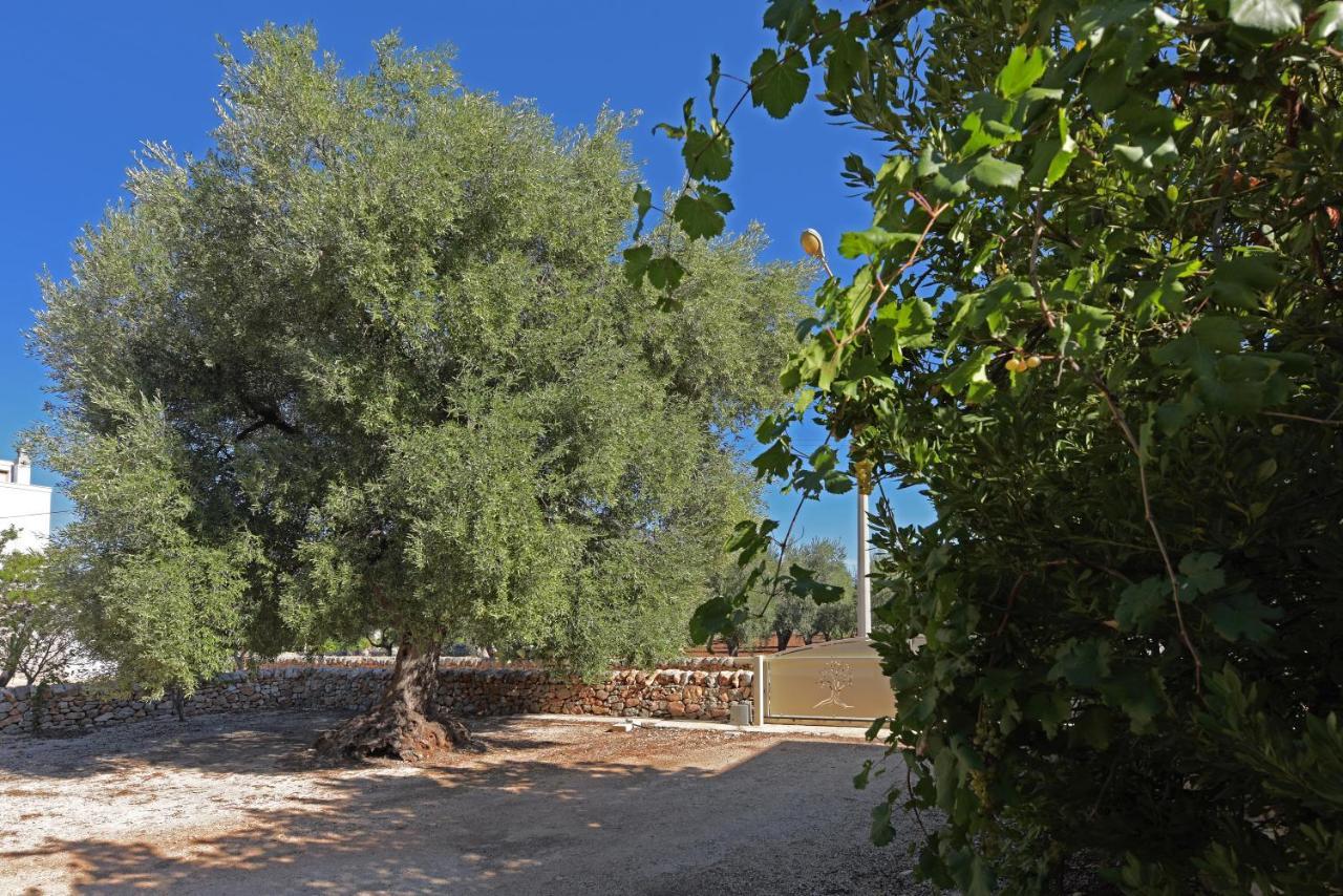 Villa Dimora Torre Bianca Ostuni Esterno foto